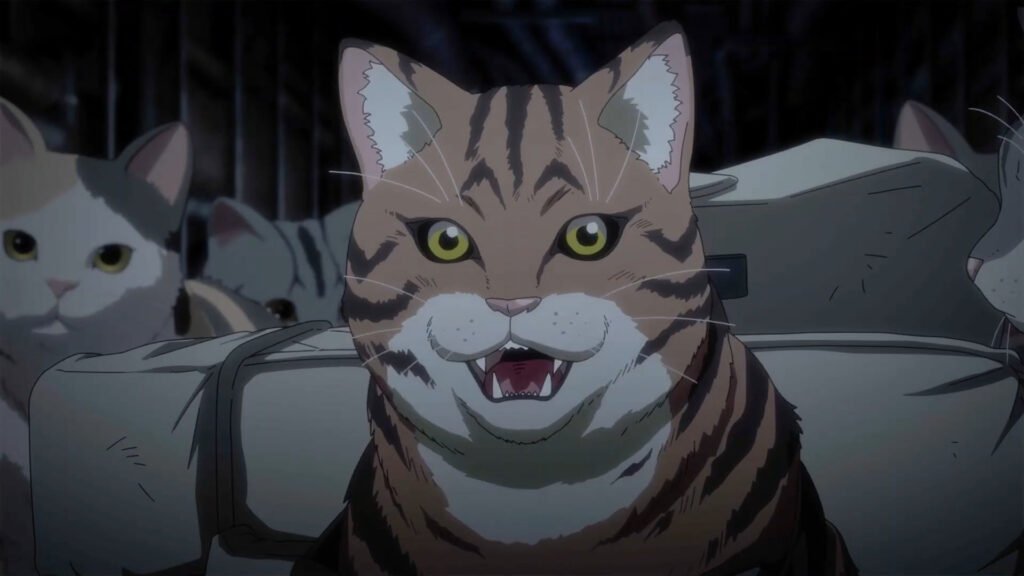 CAT
