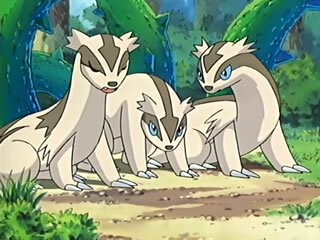 Geradaks wird im Fehler Pokémon Anime erste Generation fälschlicherweise als Sprinter bezeichnet